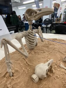 Anatomy of an Egyptian god egyptian god 3
